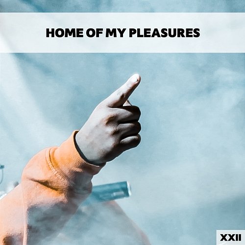 Home Of My Pleasures XXII Various Artists