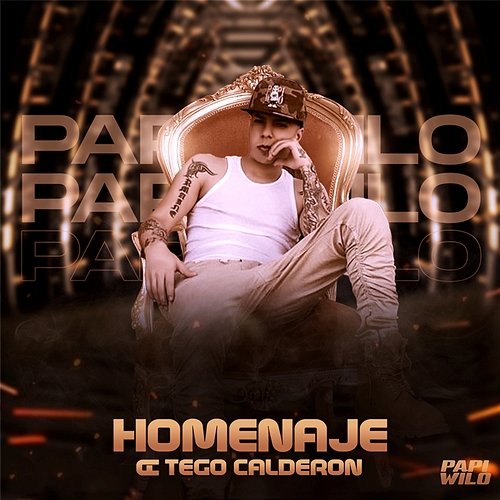 Homenaje A Tego Calderon Papi Wilo