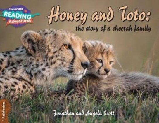 Honey and Toto. The Story of a Cheetah Family 1 Pathfinders Jonathan Scott