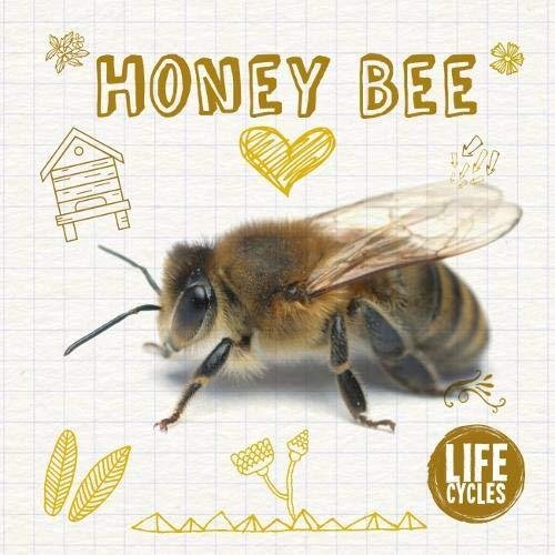 Honey Bee Jones Grace