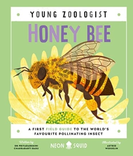 Honey Bee (Young Zoologist): A First Field Guide to the World's Favourite Pollinating Insect Neon Squid