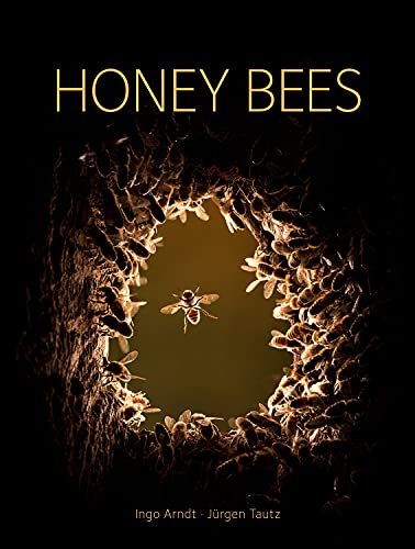 Honey Bees Tautz Jurgen