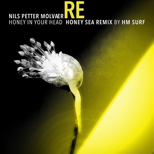 Honey in Your Head Nils Petter Molvaer