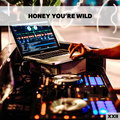 Honey You're On My Mind XXII Various Artists