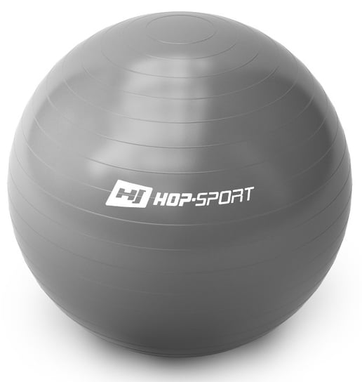 Hop-Sport, Piłka z pompką, Gym Ball, srebrna, 65 cm Hop-Sport