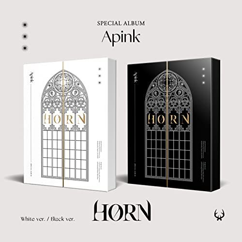 Horn (Random Cover) Apink