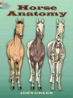 Horse Anatomy John Green