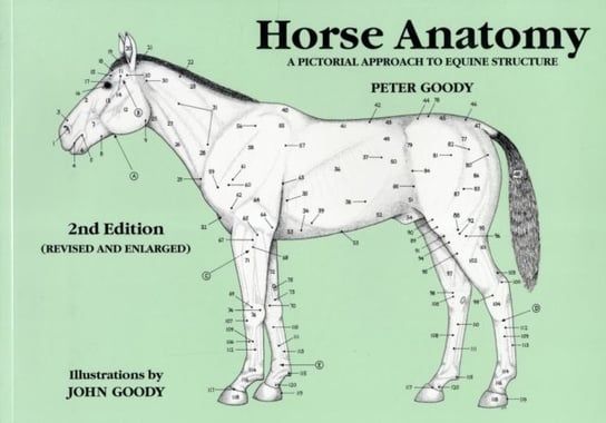 Horse Anatomy Goody Peter C.