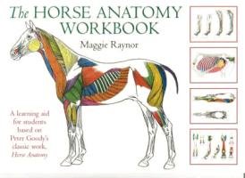 Horse Anatomy Workbook Raynor Maggie