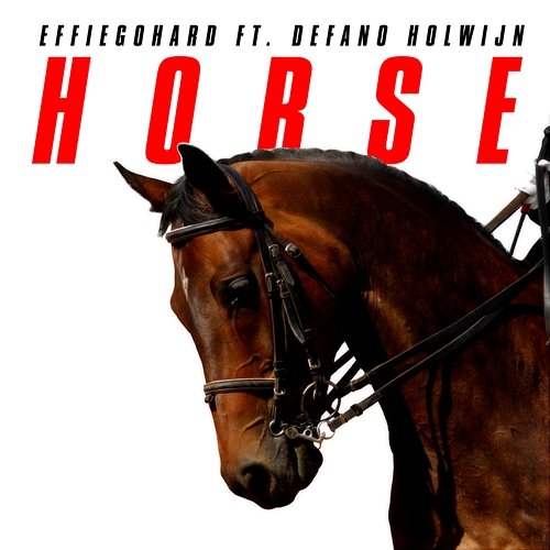 Horse EFFIEGOHARD feat. Défano Holwijn