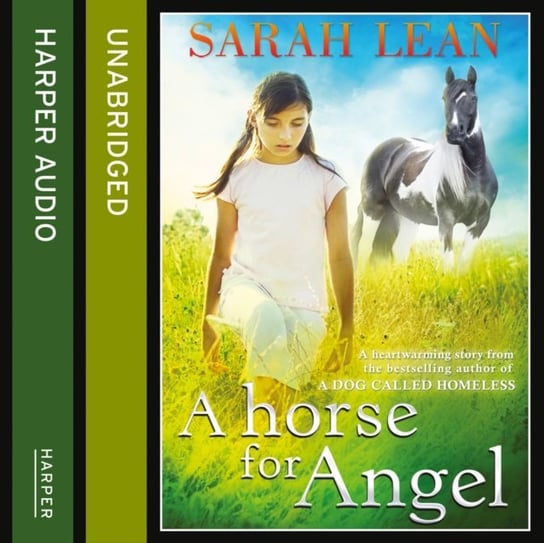 Horse for Angel Lean Sarah