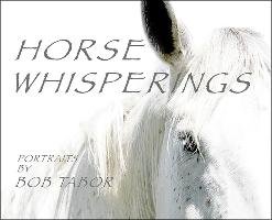 Horse Whisperings Tabor Bob