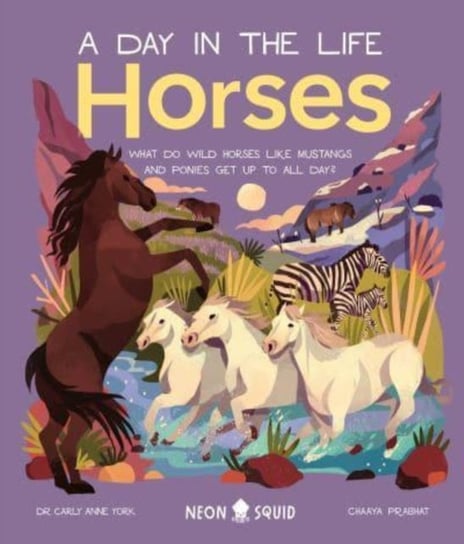 Horses (A Day in the Life): What Do Wild Horses Like Mustangs and Ponies Get Up To All Day? Priddy Books