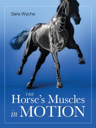 Horses Muscles in Motion Sara Wyche