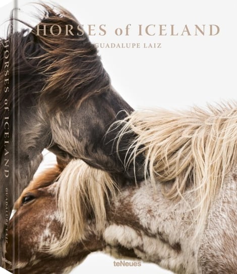 Horses of Iceland Guadalupe Laiz