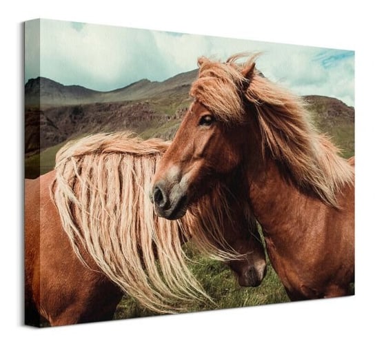 Horses with mane - Obraz na płótnie Nice Wall