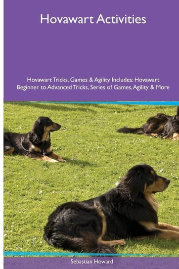 Hovawart  Activities Hovawart Tricks, Games & Agility. Includes Howard Sebastian