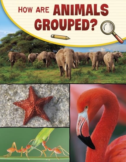How Are Animals Grouped? Lisa M. Bolt Simons