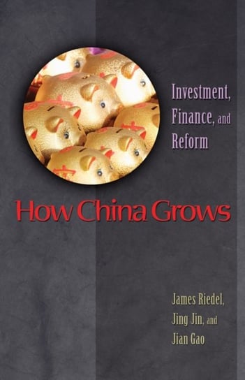 How China Grows: Investment, Finance, and Reform Princeton University Press