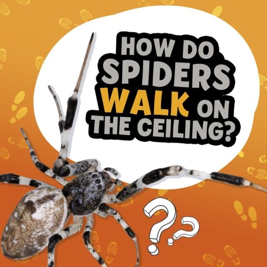 How Do Spiders Walk on the Ceiling? Dickmann Nancy