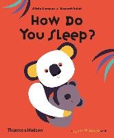How Do You Sleep? Druisit Bernard