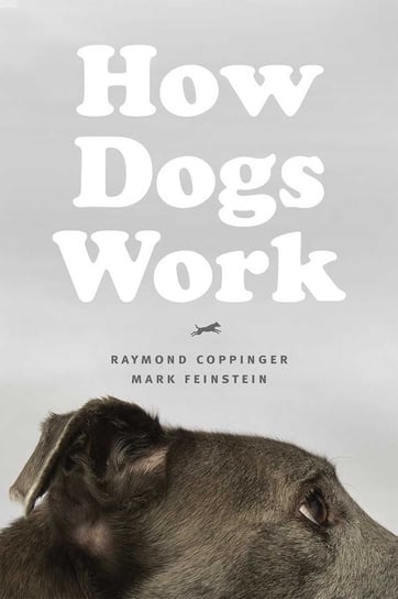 How Dogs Work Coppinger Raymond