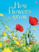 How Flowers Grow Helbrough Emma