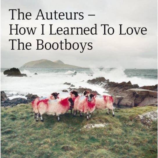 How I Learned To Love The Bootboys The Auteurs