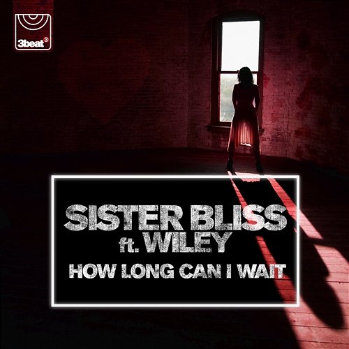 How Long Can I Wait Sister Bliss feat. Wiley