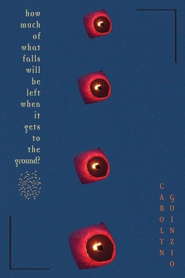 How Much Of What Falls Will Be Left When It Gets To The Ground? Guinzio Carolyn
