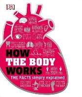 How the Body Works Dk