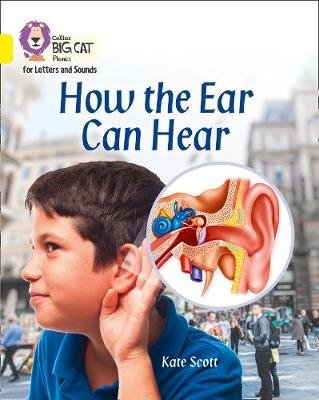 How the Ear Can Hear Scott Kate