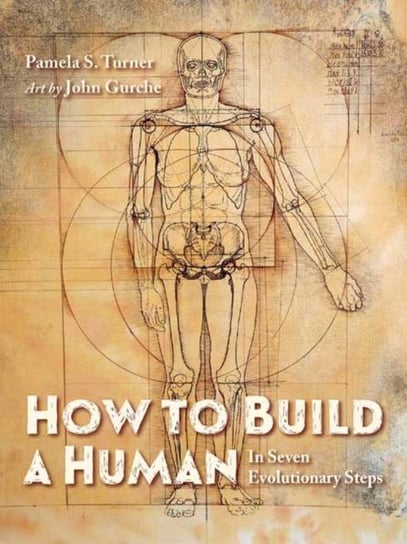 How to Build a Human Pamela S. Turner, John Gurche