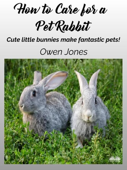 How To Care For A Pet Rabbit Jones Owen