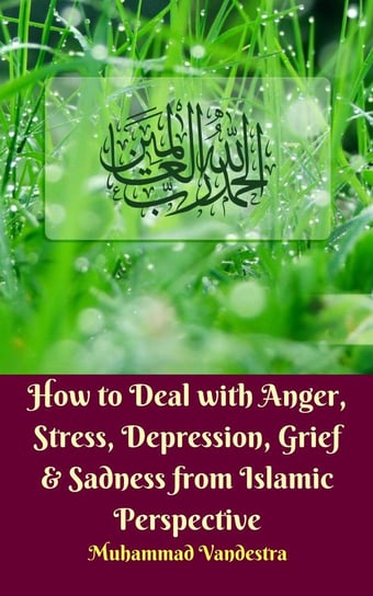 How to Deal with Anger, Stress, Depression, Grief & Sadness from Islamic Perspective Muhammad Vandestra