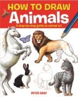 How to Draw Animals Gray Peter