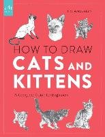 How To Draw Cats And Kittens Amberlyn J. C.