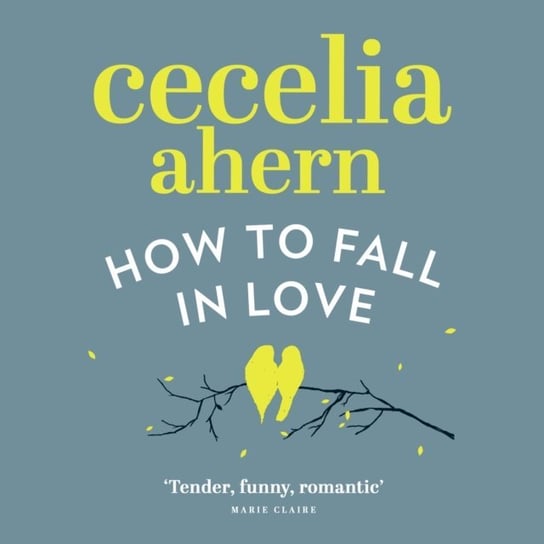 How to Fall in Love Ahern Cecelia