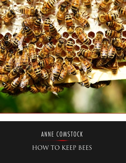 How to Keep Bees Anna Botsford Comstock