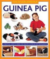 How to Look After Your Guinea Pig Alderton David
