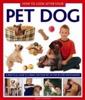 How to Look After Your Pet Dog Alderton David