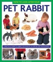 How to Look After Your Pet Rabbit Alderton David