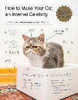 How To Make Your Cat An Internet Celebrity Carlin Patricia