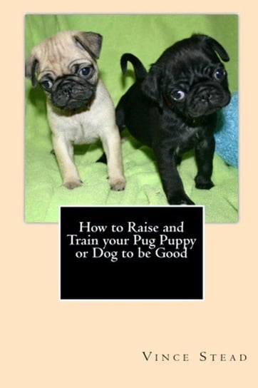 How to Raise and Train your Pug Puppy or Dog to be Good Stead Vince
