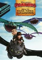 How to Raise Three Dragons How To Train Your Dragon Tv