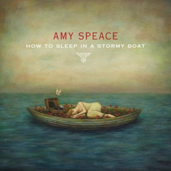 How to Sleep in a Stormy Boat Speace Amy