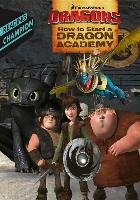 How to Start a Dragon Academy How To Train Your Dragon Tv