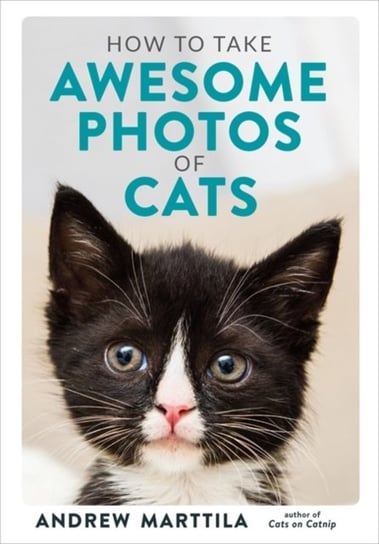 How to Take Awesome Photos of Cats Andrew Marttila