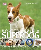 How To Train A Superdog Bailey Gwen