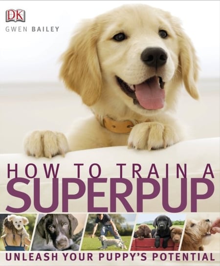 How to Train a Superpup Dk, Bailey Gwen